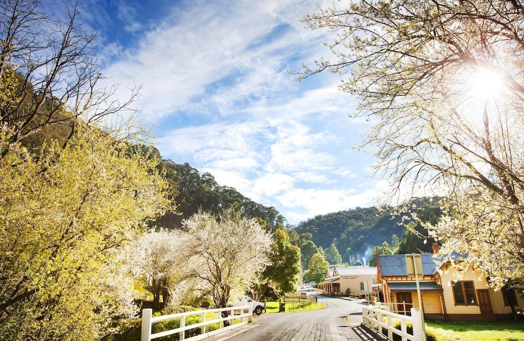Walhalla'S Star Hotel Esterno foto